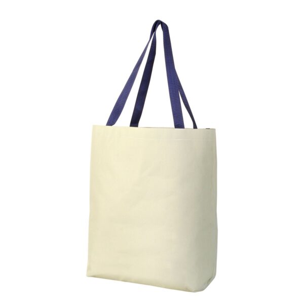 0003328_89-1016-45-shopping-bag